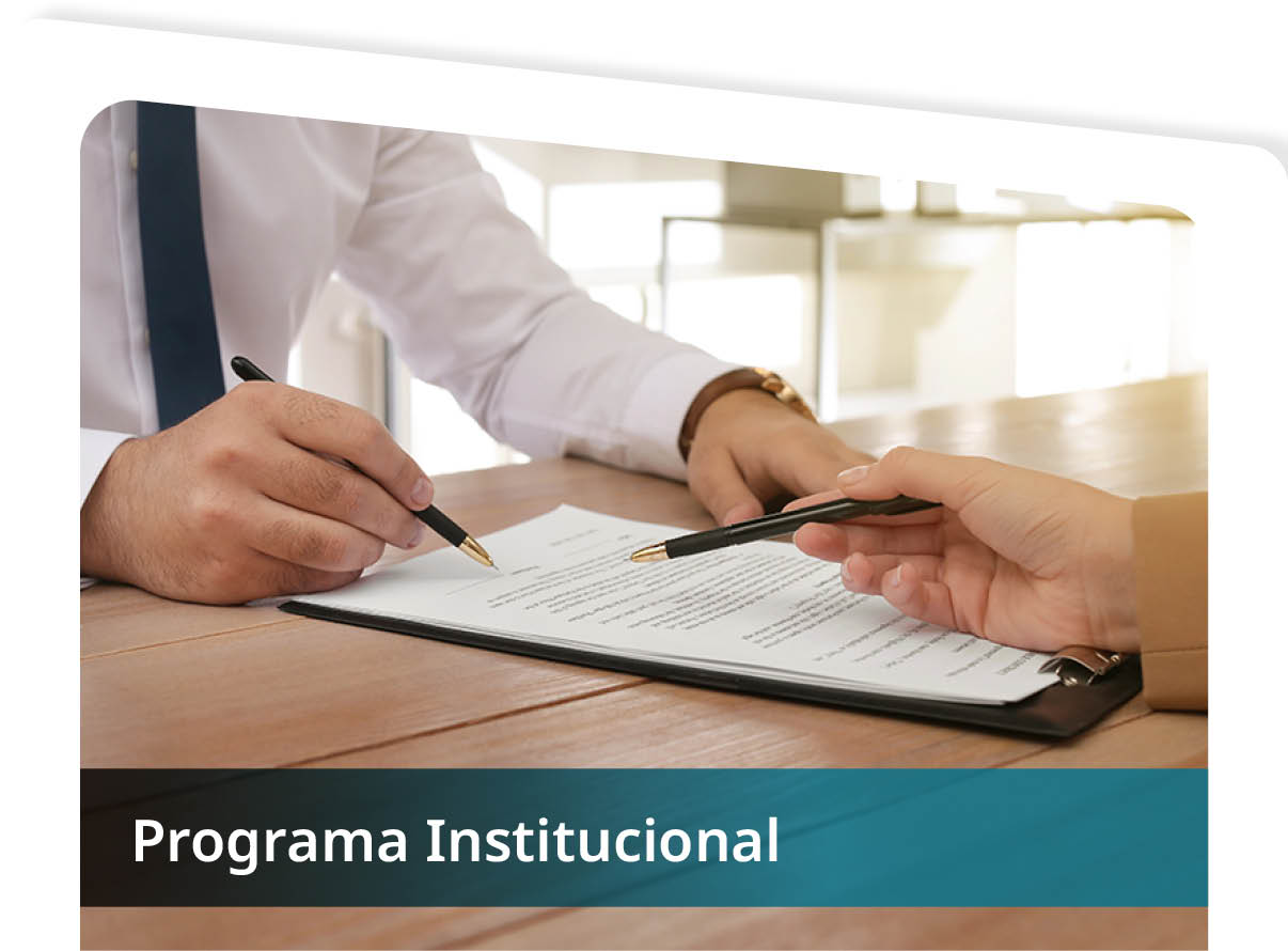 Programa Institucional Mini